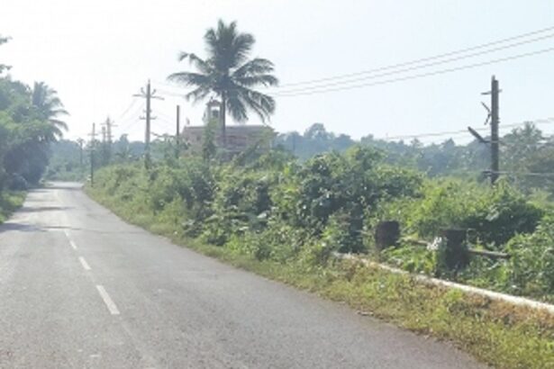 Broken guardrails of Portuguese-era bridge at Uguem pose safety hazard