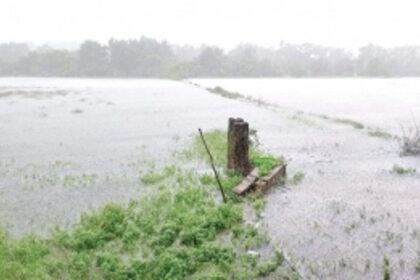 Broken sluice gate floods Corjuem fields, delays sowing operations