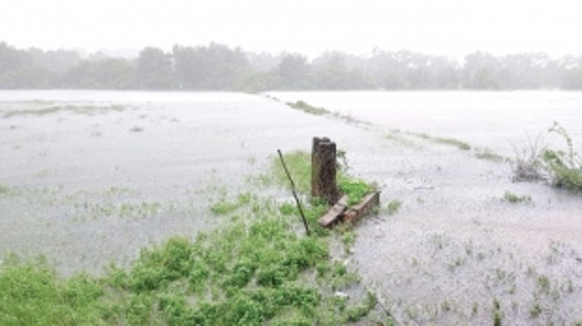 Broken sluice gate floods Corjuem fields, delays sowing operations