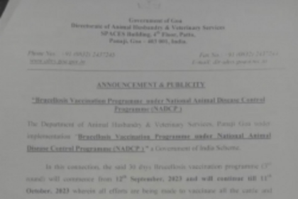 Brucellosis Vaccination Prog for cattle from today