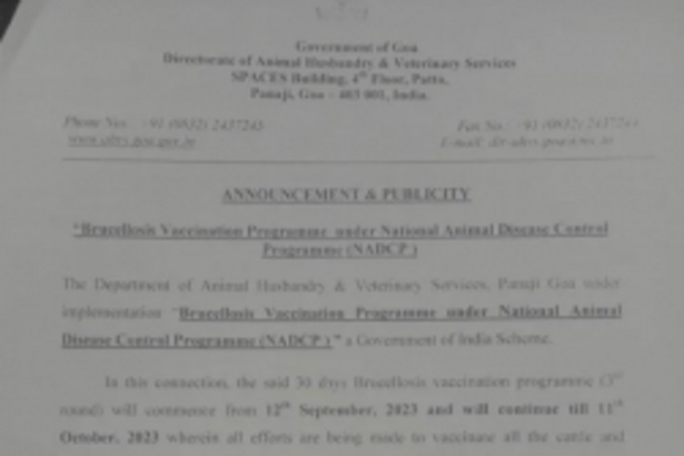 Brucellosis Vaccination Prog for cattle from today
