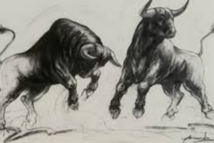 Bull Dies in Illegal Betalbatim Bullfight, Organisers Booked for Animal Cruelty