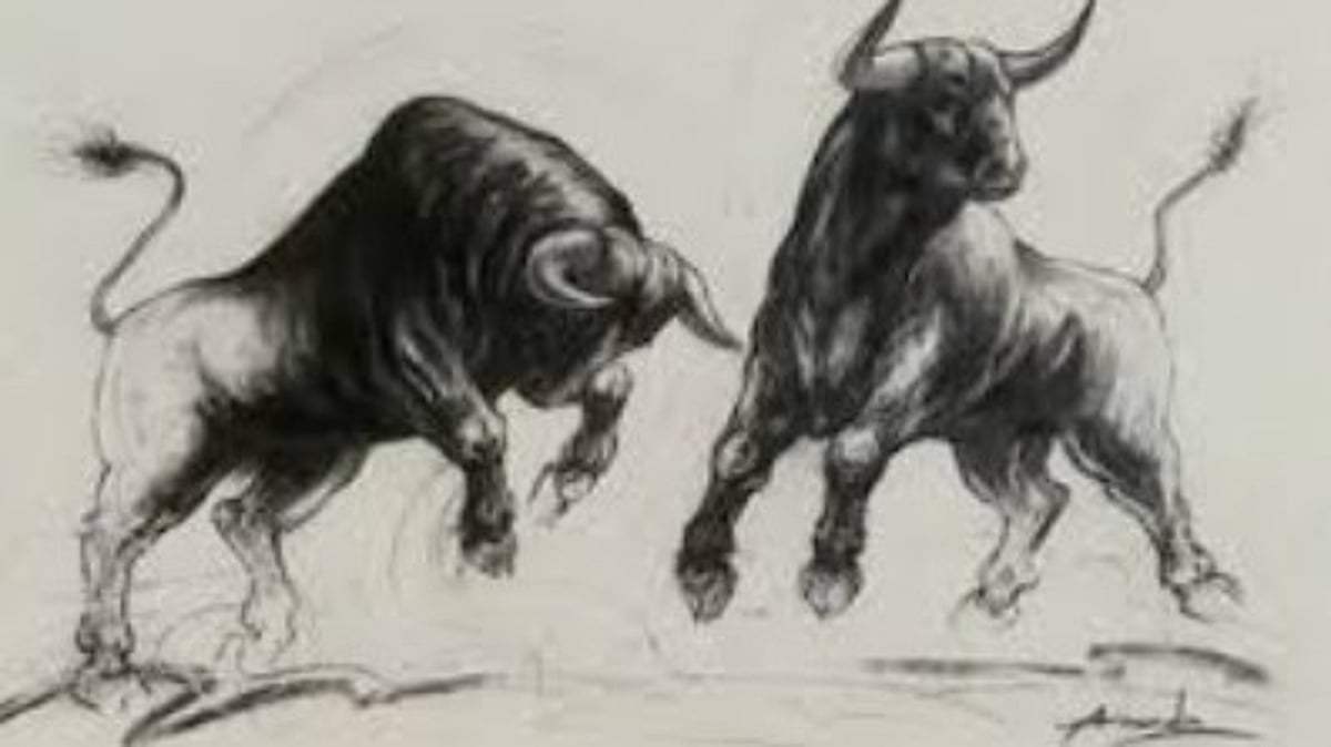 Bull Dies in Illegal Betalbatim Bullfight, Organisers Booked for Animal Cruelty