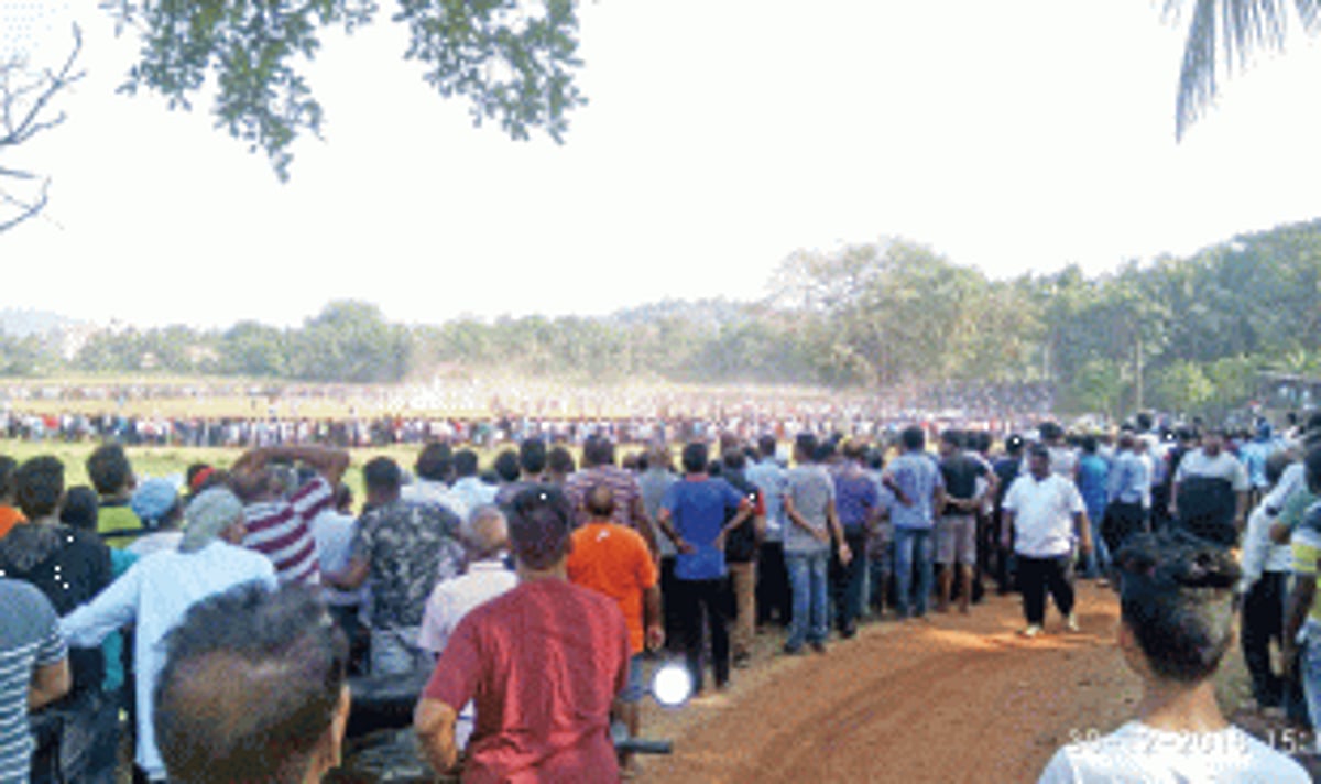Bullfight held in field along Nuvem-Arlem bypass