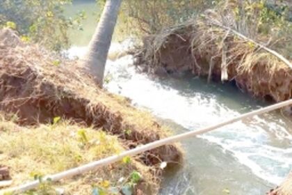 Bundh breach leaves Oxel farmers helpless