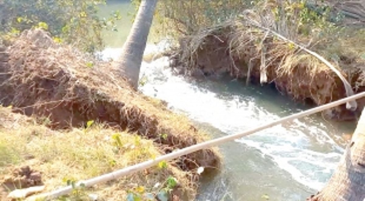 Bundh breach leaves Oxel farmers helpless