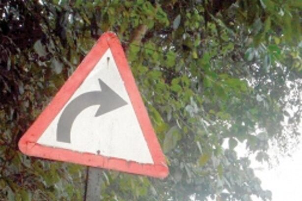 Bushes covering signboard along Farmagudi-Veling road cleared