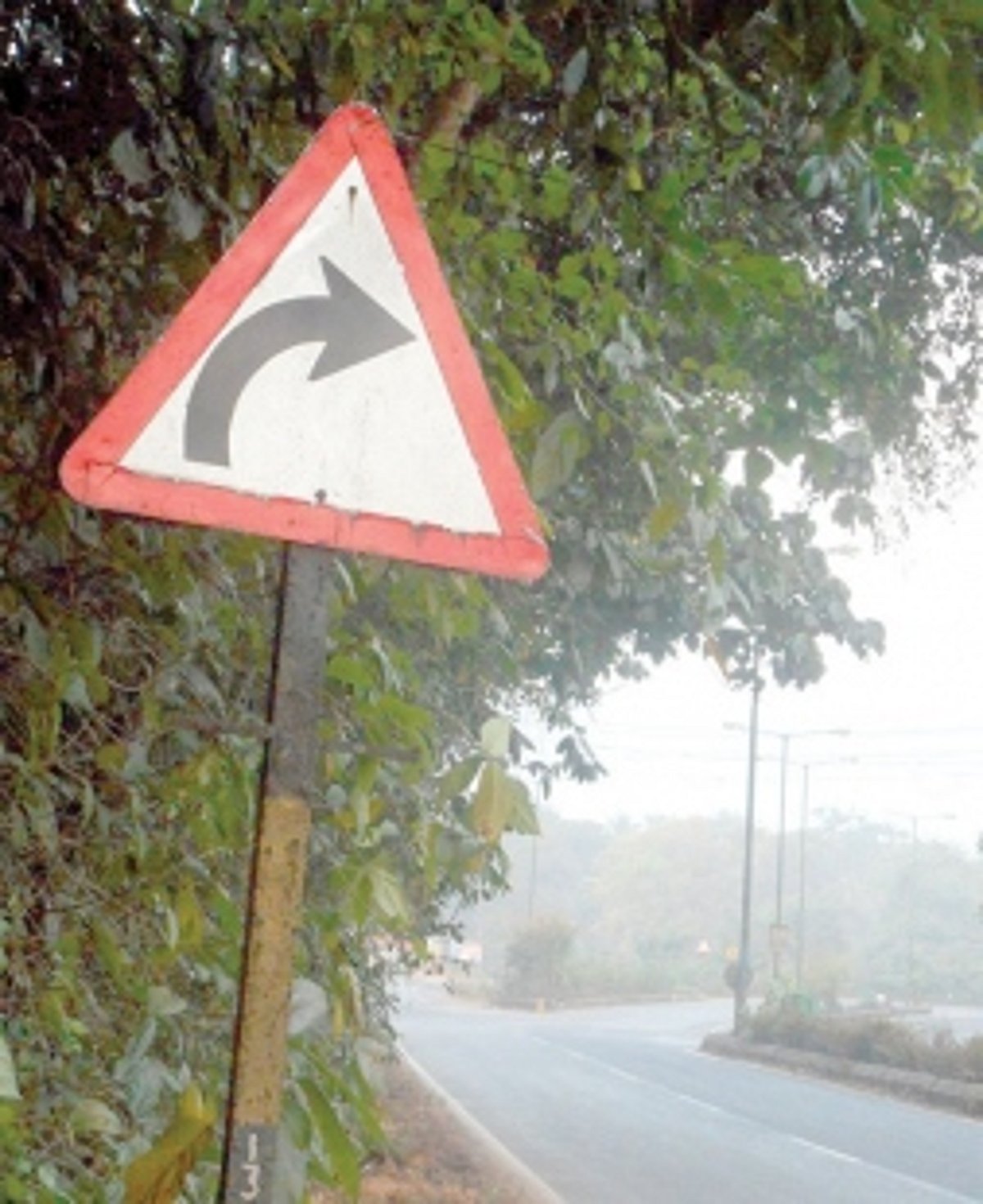 Bushes covering signboard along Farmagudi-Veling road cleared