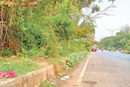 Bushes, garbage and debris on footpath near Konkan railway station irk locals
