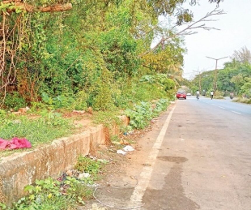 Bushes, garbage and debris on footpath near Konkan railway station irk locals