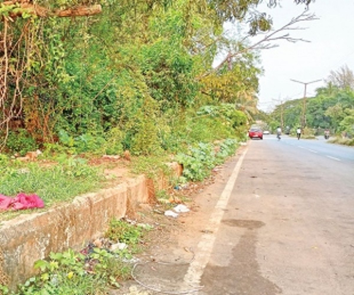 Bushes, garbage and debris on footpath near Konkan railway station irk locals
