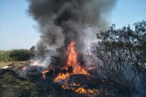 Bushes on fire near Morjim beach due to improper disposal of oil,tarballs