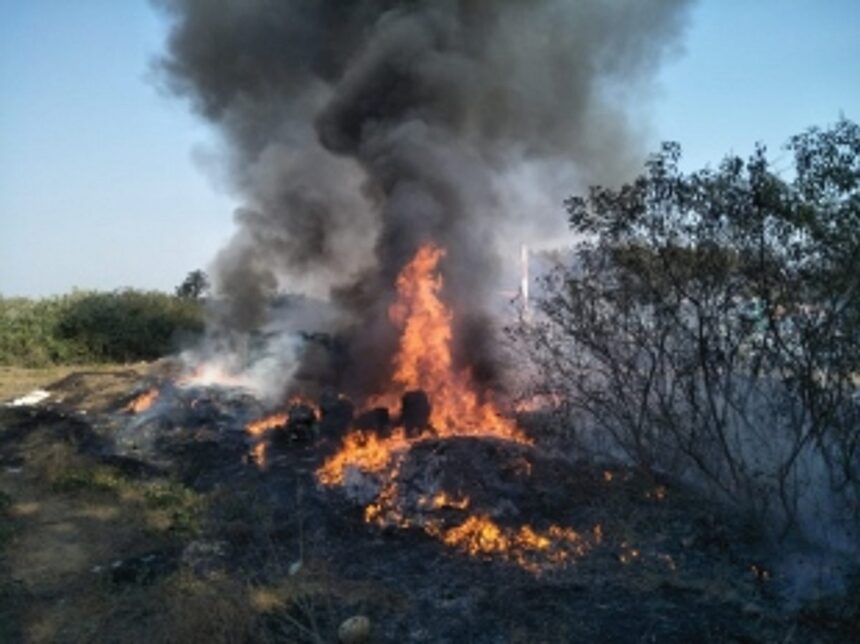 Bushes on fire near Morjim beach due to improper disposal of oil,tarballs 1 Bushes on fire near Morjim beach due to improper disposal of oil,tarballs