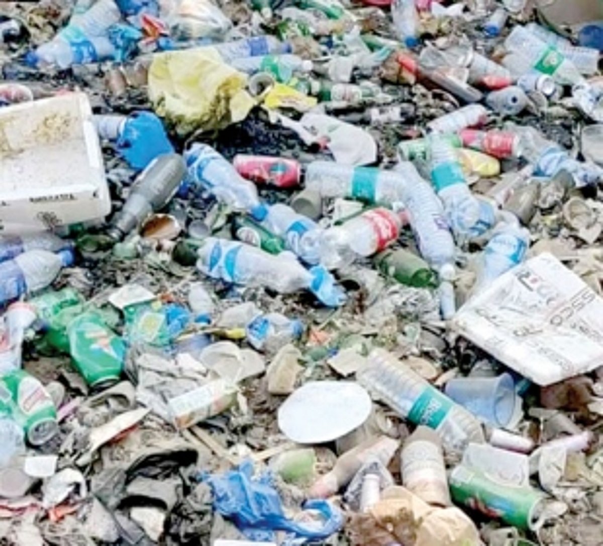 Butterfly Beach buried in trash  after New Year revelry