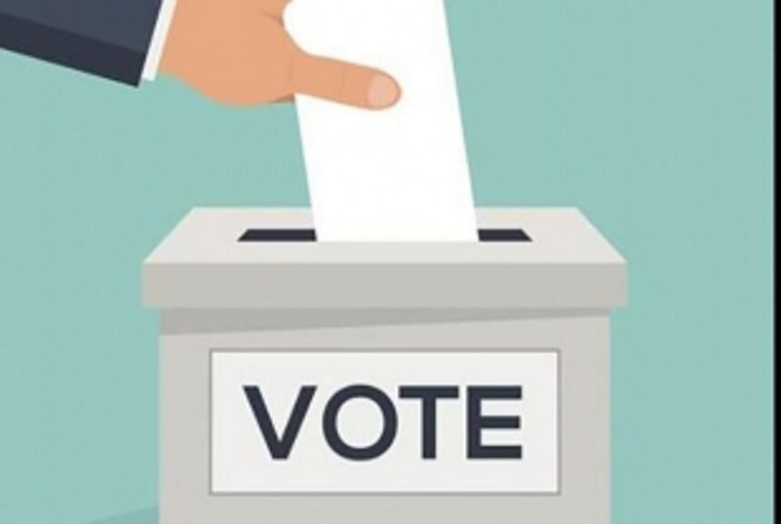 By-election to Ward V of Sirsaim panchayat today