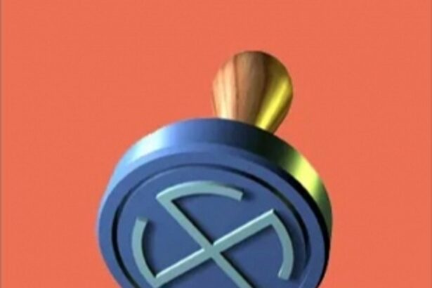 By-elections to 10 panchayat wards register 79.90% voter turnout