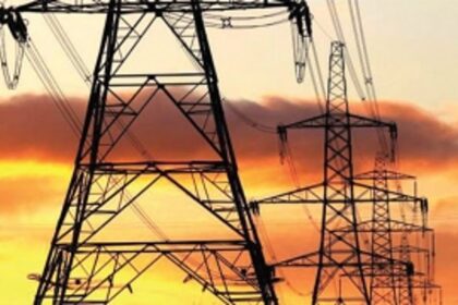 CAN THE POWERFUL GIVE GOA ENOUGH POWER AT LEAST?