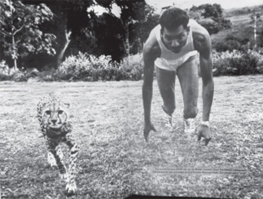 CATCHING UP TO EAST AFRICAN SUPERSTARS