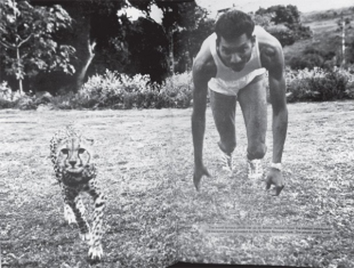 CATCHING UP TO EAST AFRICAN SUPERSTARS