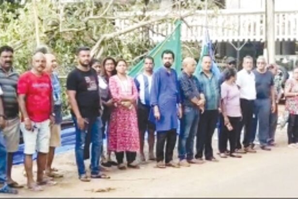 CCF holds protest to demand replanting of banyan tree