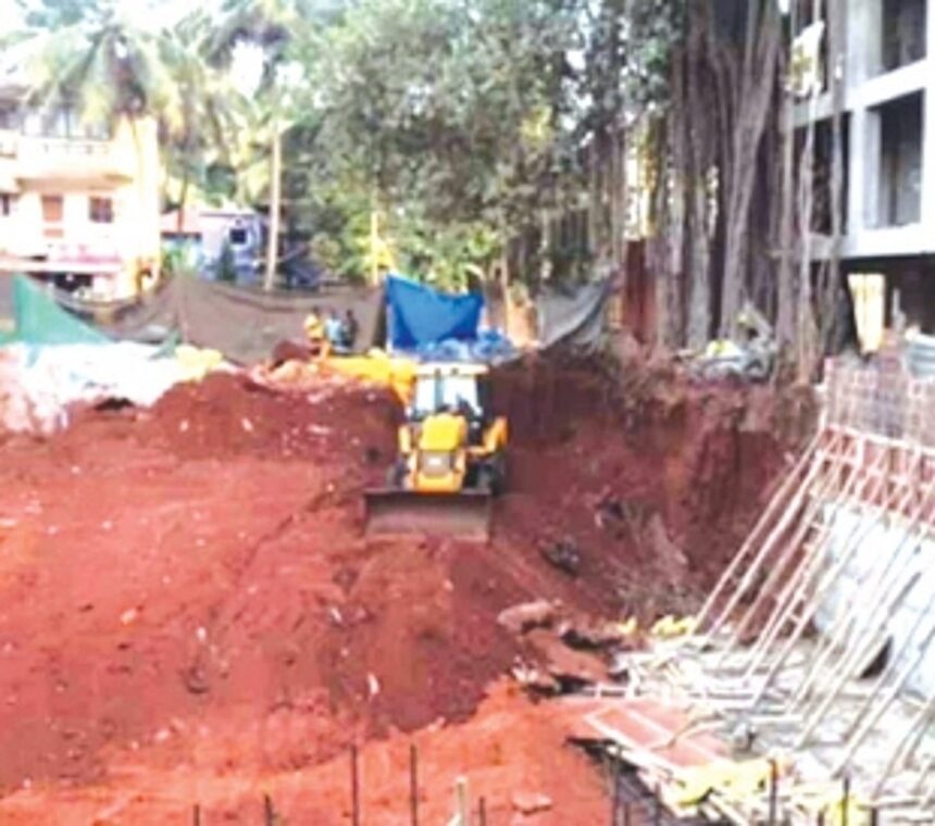 CCF wants uprooted 200-year-old banyan tree replanted