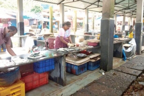 CCMC removed front pieces of platforms  without informing us, complain fish vendors