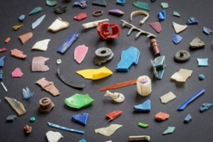 CCP bans use of plastic items  at Gokul Ashtami fair