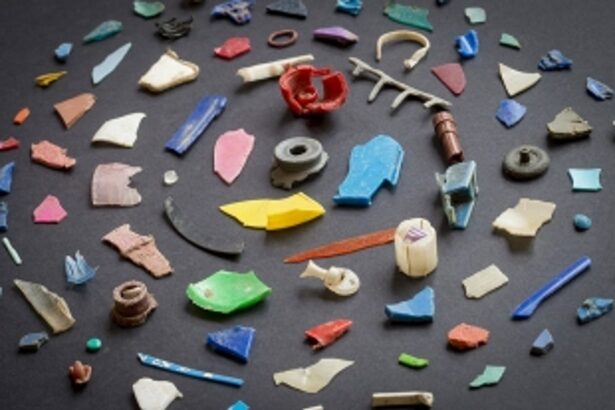 CCP bans use of plastic items  at Gokul Ashtami fair