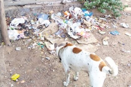 CCP needs to take charge of cleanliness at Panjim Ferry wharf
