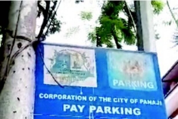 CCP resumes pay parking; several councillors fume