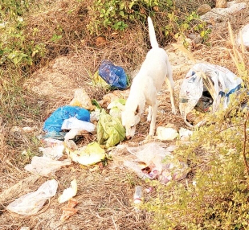 CCTV cameras can do the trick to stop  wet garbage menace