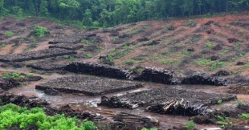 CEC comes to rescue of Mollem forest 1 CEC comes to rescue of Mollem forest