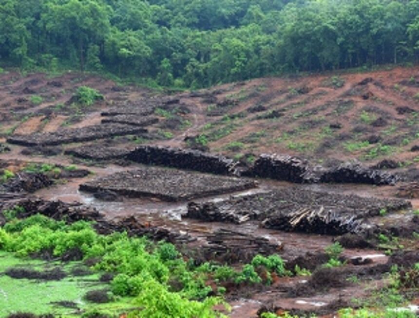 CEC must meet the protestors: GKN