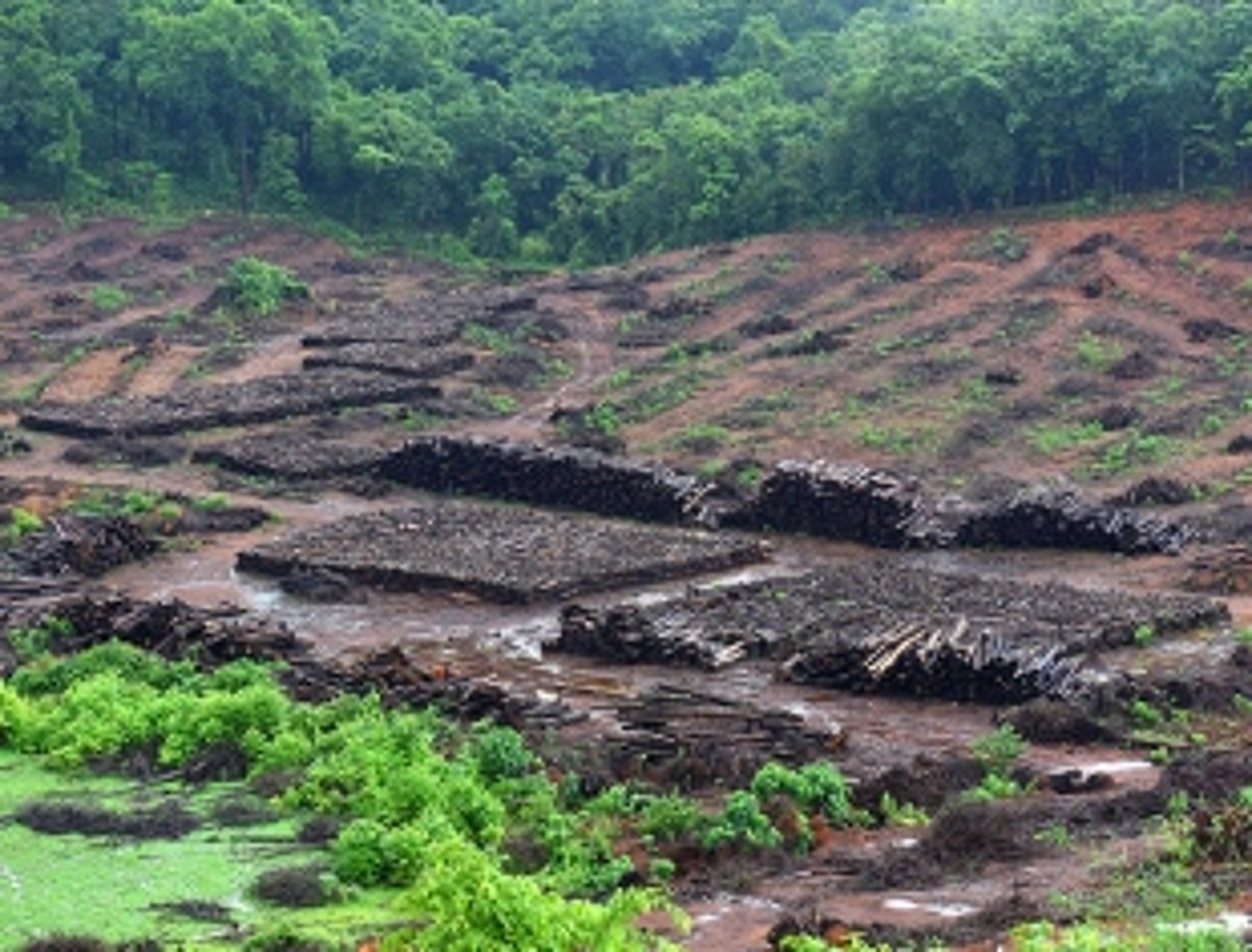 CEC must meet the protestors: GKN