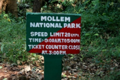 CEC’s recommendations rejuvenate  campaign to protect Mollem