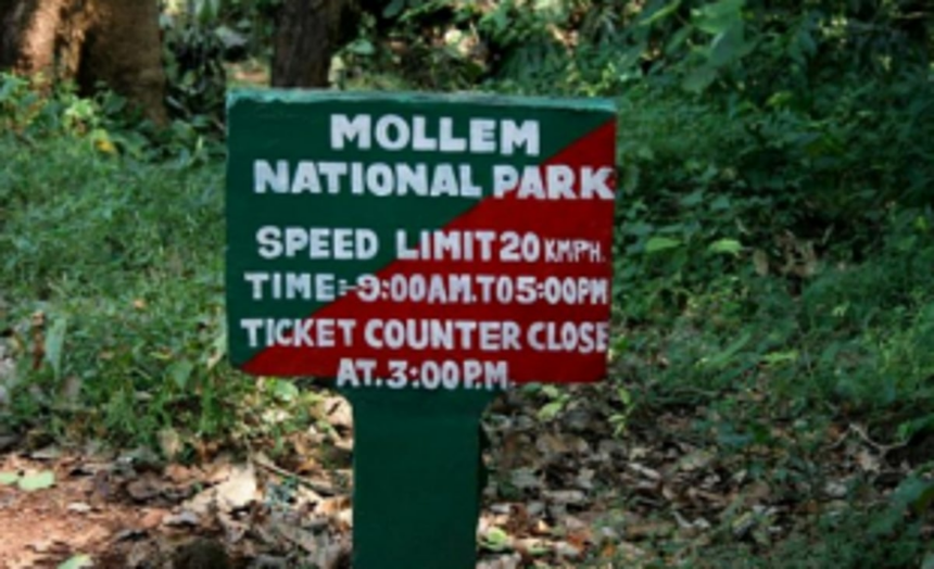 CEC’s recommendations rejuvenate campaign to protect Mollem