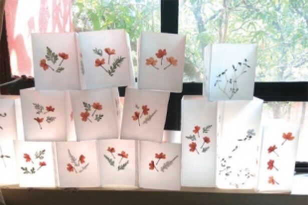 CELEBRATING THE COLOURS OF ABOLIM