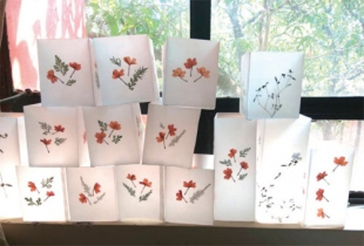 CELEBRATING THE COLOURS OF ABOLIM