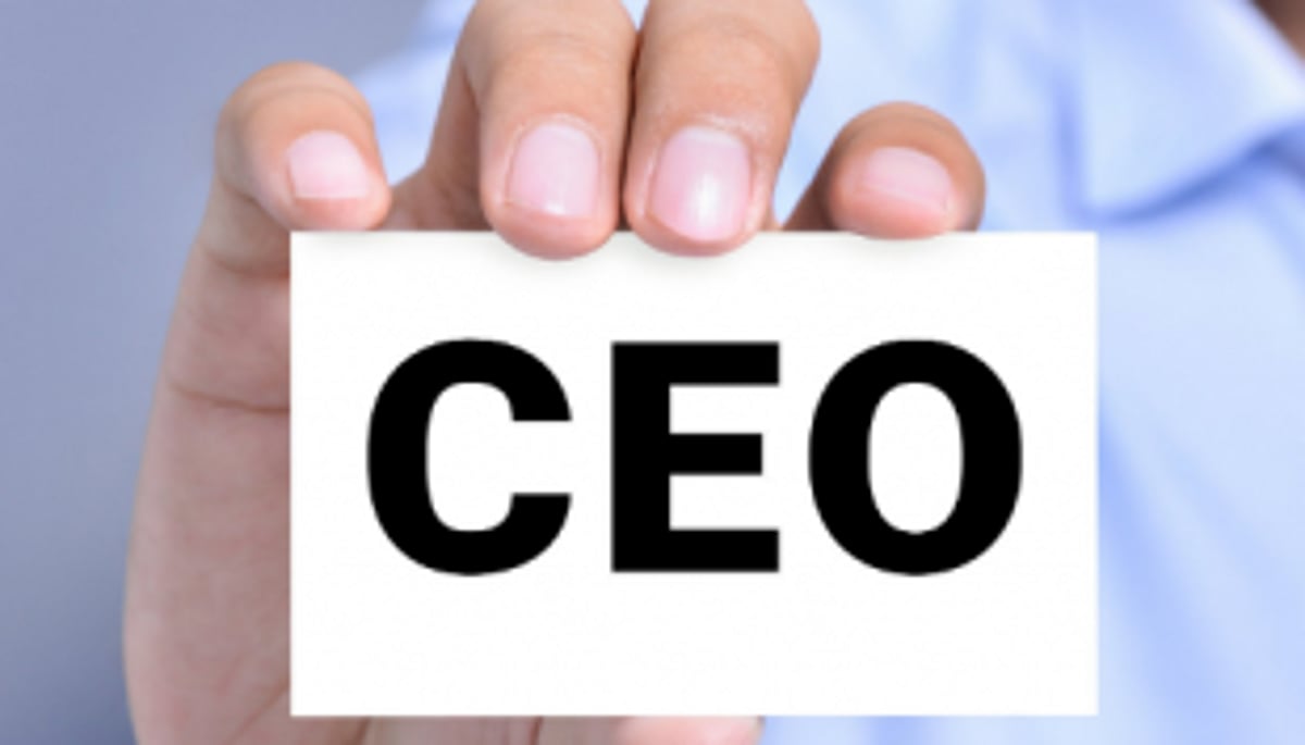 CEO for  NGZP appointed