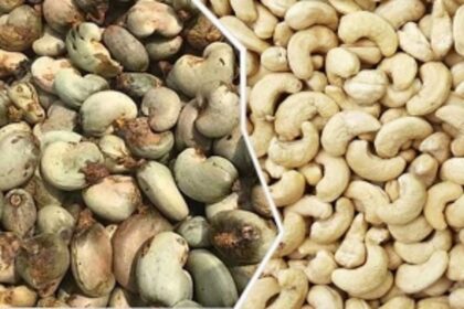 CII urges State   to roll back 1%   cess on cashew