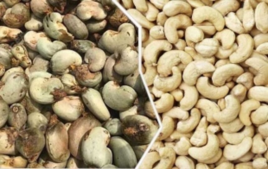 CII urges State to roll back 1% cess on cashew