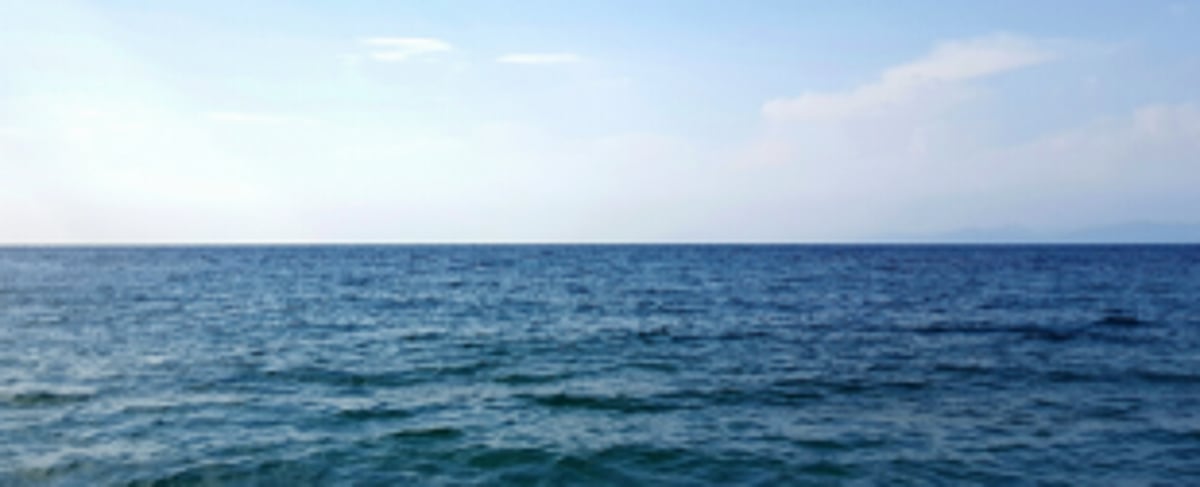 CISF rescues 14 people from drowning  in sea near MPT