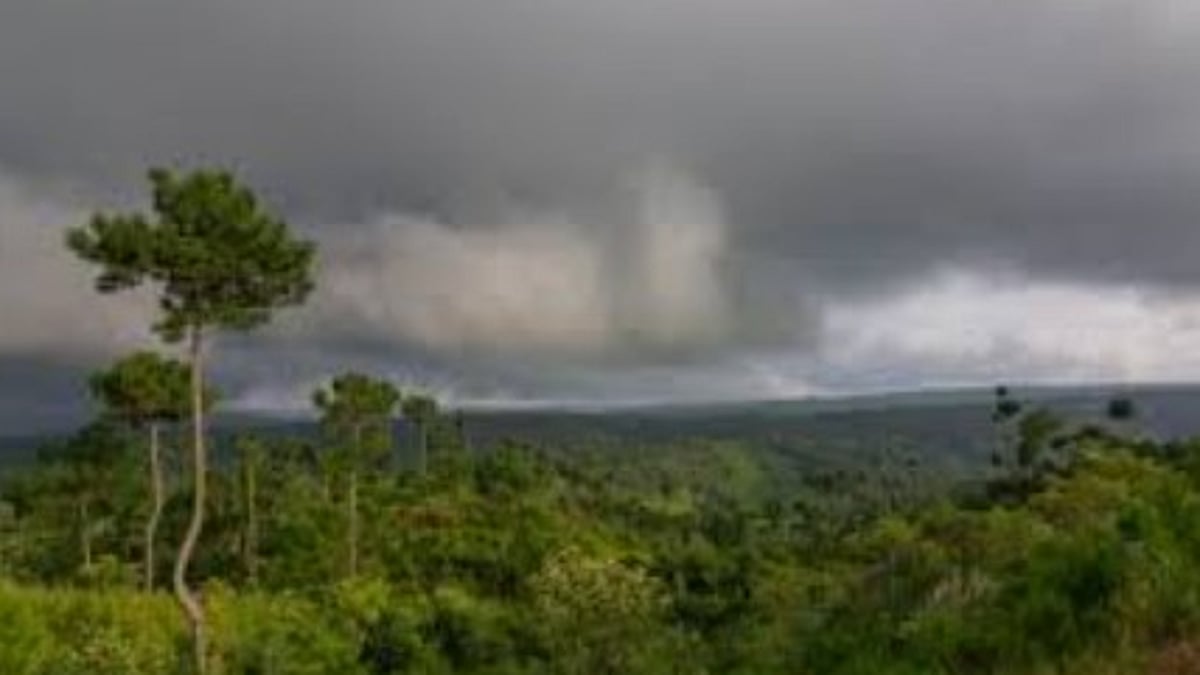 CM Pramod Sawant Reviews Monsoon Preparedness, Approves Disaster Funds