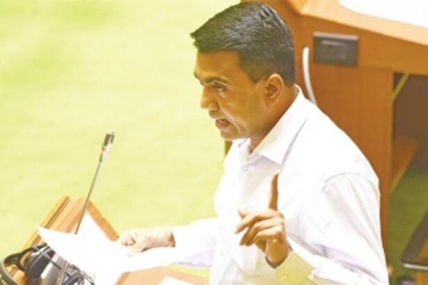 CM assures House that Govt is not legalising cannabis cultivation