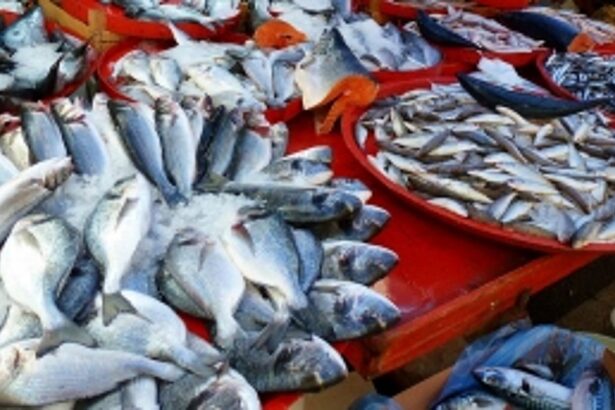 CM bans retailing of fish at  SGPDA wholesale market
