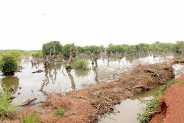 CM’s intervention  sought in yacht  club issue at Divar