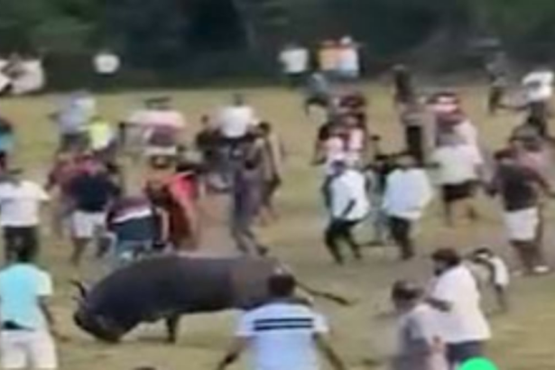 COLVA POLICE BOOK UNKNOWN PERSONS FOR ORGANISING BULL FIGHTS RESULTING IN A BULL GORING A PERSON TO DEATH AND CAUSING CRUELTY TO ANIMAL