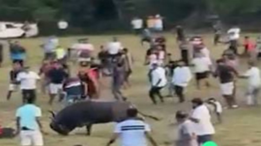 COLVA POLICE BOOK UNKNOWN PERSONS FOR ORGANISING BULL FIGHTS RESULTING IN A BULL GORING A PERSON TO DEATH AND CAUSING CRUELTY TO ANIMAL 1 COLVA POLICE BOOK UNKNOWN PERSONS FOR ORGANISING BULL FIGHTS RESULTING IN A BULL GORING A PERSON TO DEATH AND CAUSING CRUELTY TO ANIMAL