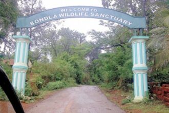 COVID-19: Zoos and Wildlife Sanctuaries on high alert!