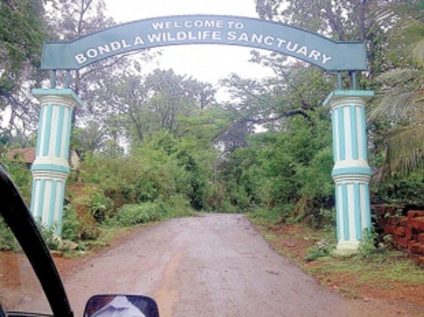 COVID-19: Zoos and Wildlife Sanctuaries on high alert!